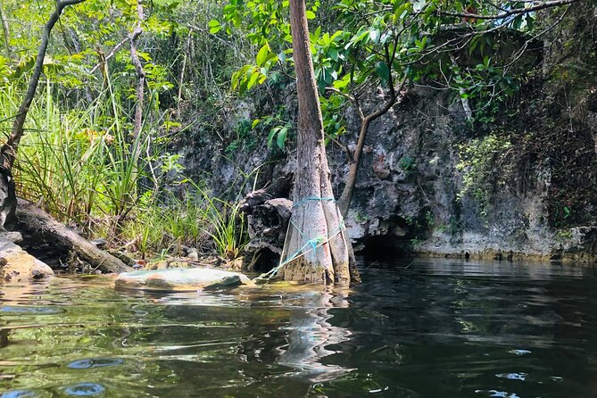 Sacred Adventure at Xenotes! 4 Different Cenotes + Round Transportation - A few details that can make the day better