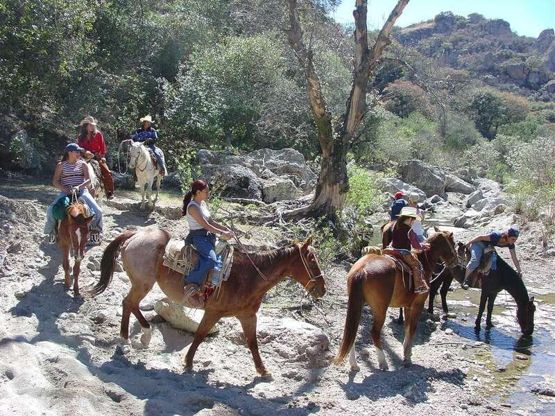 San Miguel Allende: Half-Day Horseback Riding Adventure - A ranch lunch worth planning around