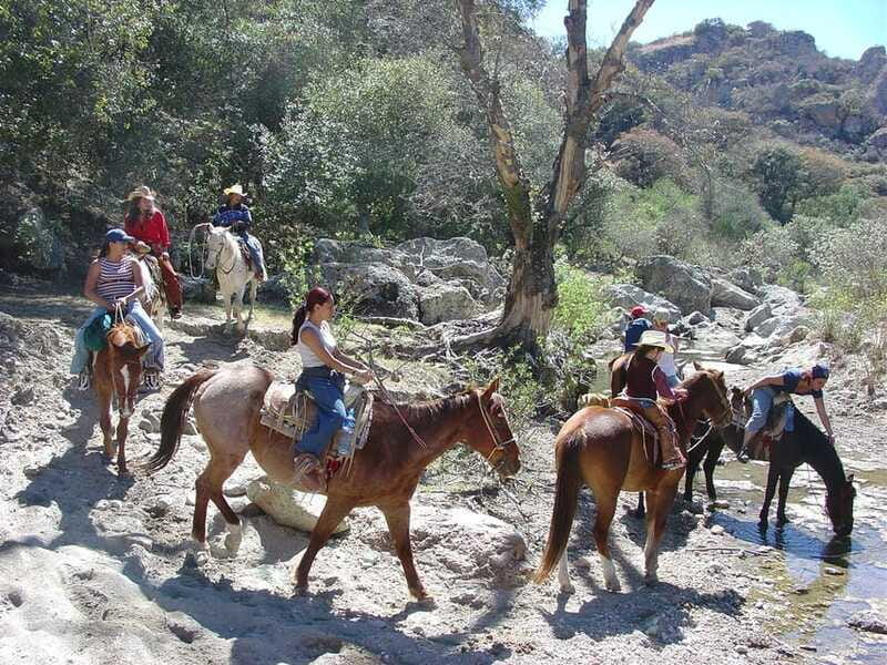 San Miguel Allende: Half-Day Horseback Riding Adventure - What the $167 price buys you
