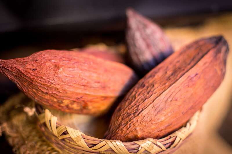 San Miguel de Allende: Chocolate Tasting and Walking Tour - Five tastings that go beyond candy
