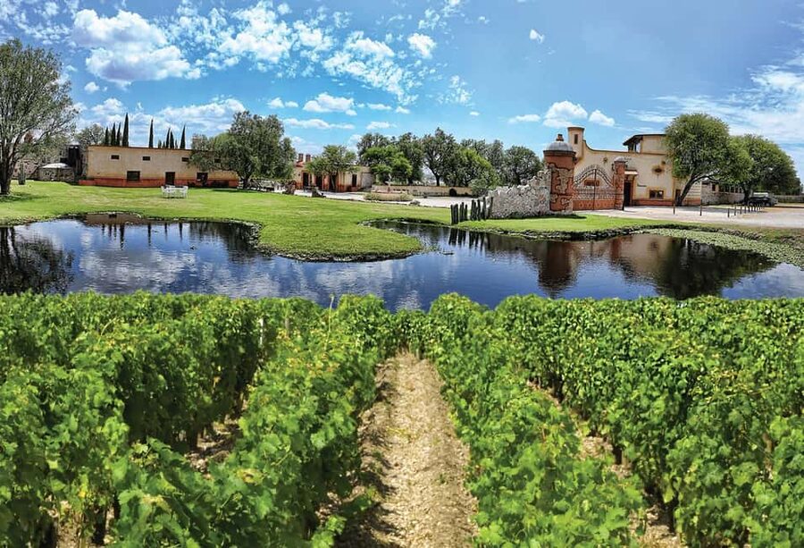Santiago de Querétaro: Pueblos Mágicos Cheese and Wine Route - A full day through Querétaro’s wine country