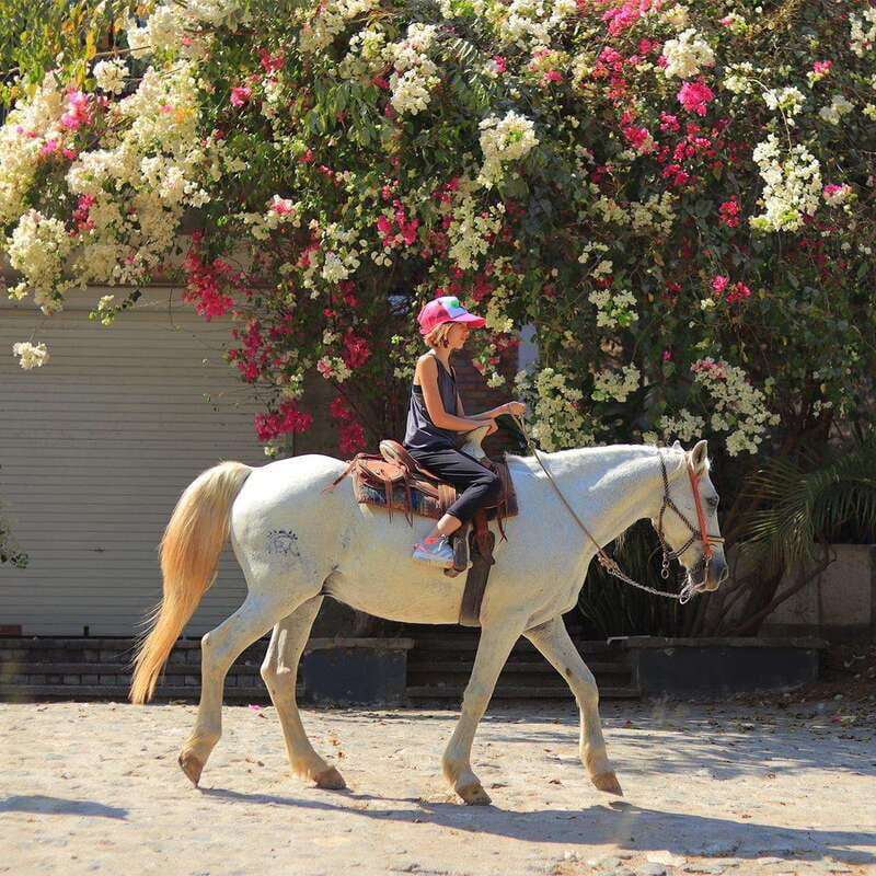 Sayulita: Horseback Riding Tour - Key points to know before you ride