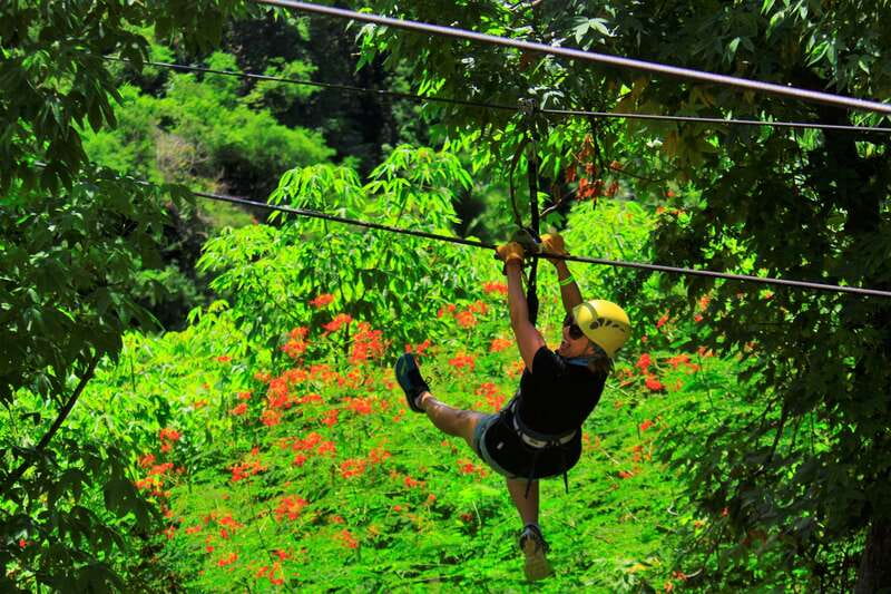 Sayulita/Punta Mita: Zip Lines with Ocean View - Guides make the experience easier for beginners