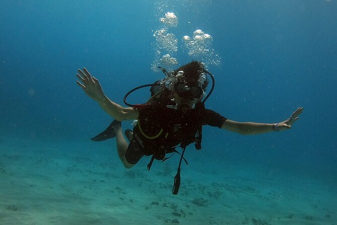 Scuba Diving (1st time) in Cancun Beginner's WELCOMED! - What your first lesson is really like