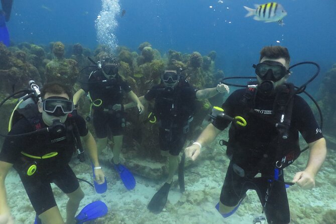 Scuba Diving (1st time) in Cancun Beginner's WELCOMED! - The Mesoamerican Reef adds the natural side