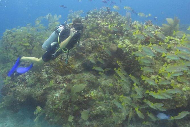 Scuba Diving (1st time) in Cancun Beginner's WELCOMED! - The instructors make the biggest difference