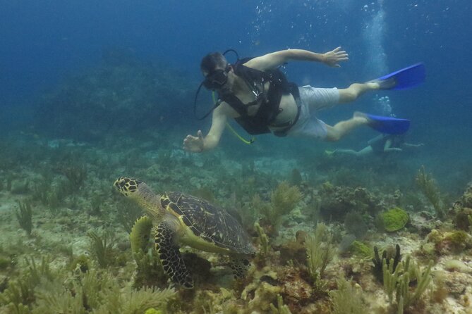 Scuba Diving (1st time) in Cancun Beginner's WELCOMED! - Cost, equipment, and what the price really means