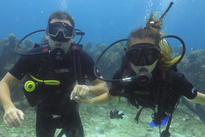 Scuba Diving (1st time) in Cancun Beginner's WELCOMED! - Timing, meeting point, and practical planning