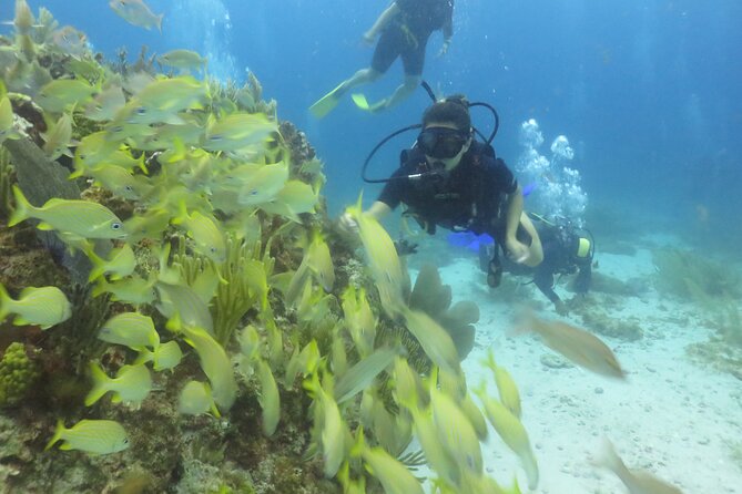 Scuba Diving (1st time) in Cancun Beginner's WELCOMED! - Safety rules you need to take seriously