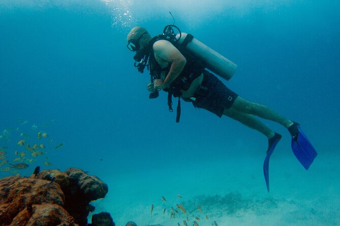 Scuba Diving (1st time) in Cancun Beginner's WELCOMED! - MUSA: a memorable first underwater view