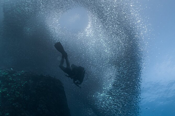 Scuba Diving - Weather, cancellation, and planning details