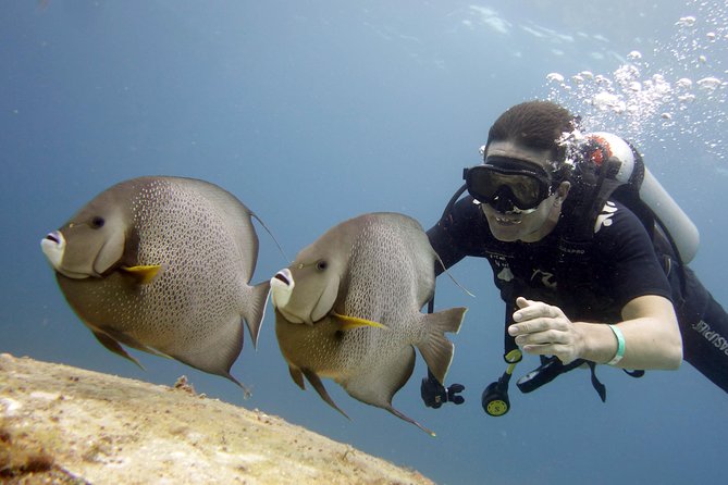 Scuba diving at MUSA the underwater museum for certified divers - Practical details that can affect your day