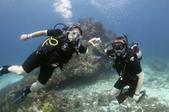 Scuba diving at MUSA the underwater museum for certified divers - Who will enjoy this Isla Mujeres scuba tour