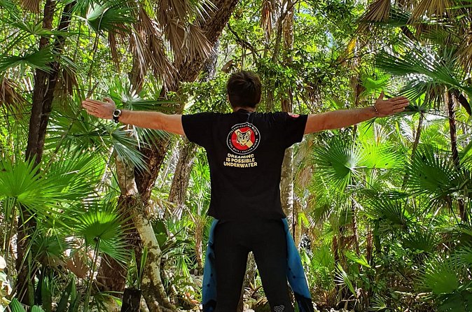 Scuba Diving in Cenote Dos Ojos from Playa del Carmen - Timing, transport, and the real value