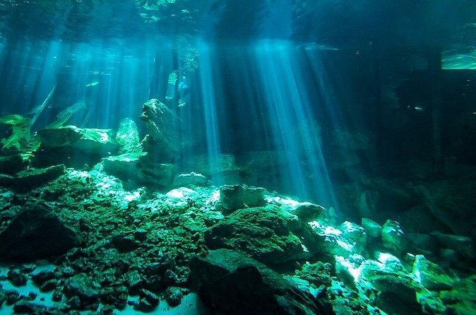 Scuba Diving in Cenote Dos Ojos from Playa del Carmen - Who should book this experience
