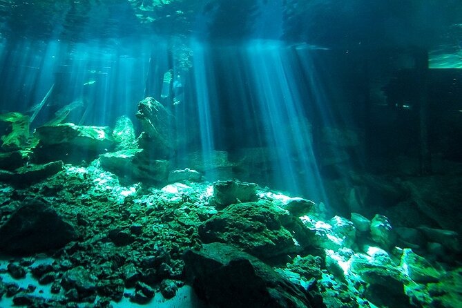 Scuba Diving in Cenote Dos Ojos from Playa del Carmen - Preparing your equipment beside the cenote
