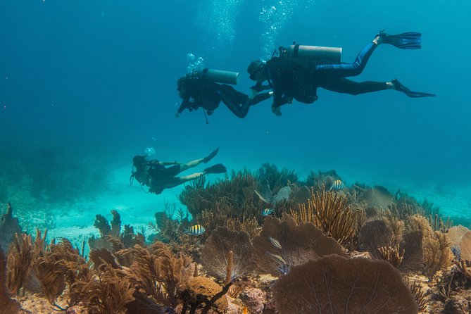 Scuba Diving in Cozumel Island - What the first underwater session is like
