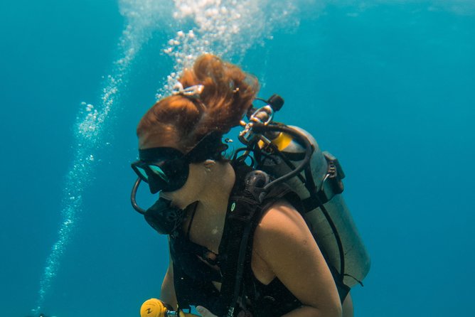 Scuba Diving in Cozumel Island - The hour-long surface interval