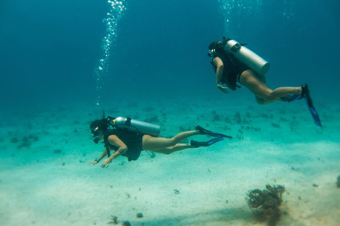 Scuba Diving in Cozumel Island - The second reef session and marine life