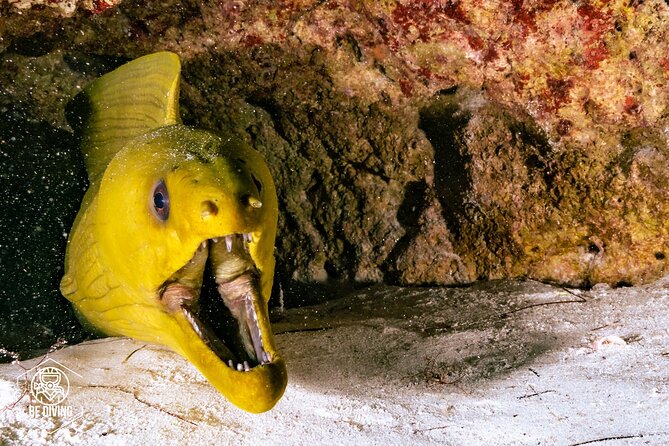 Scuba Diving in Cozumel Island - Returning to Cozumel and using the ferry ticket