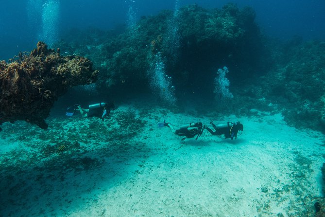 Scuba Diving in Cozumel Island - The $220 price and what it really includes