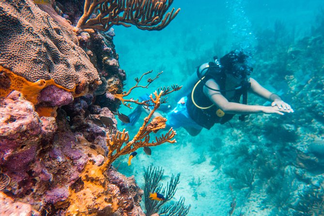 Scuba Diving in Cozumel Island - Starting at Be Diving Scuba Academy