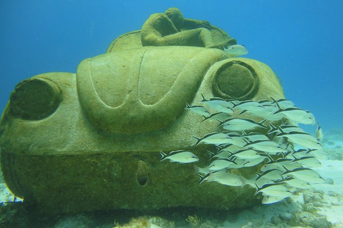 Scuba Diving Under Water Museum and Reef for beginners - Starting at Coconut Divers Cancun at 8:00 a.m.