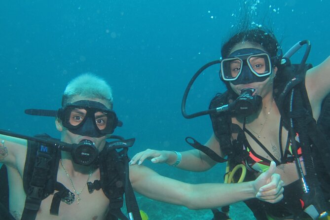 Scuba Diving Under Water Museum and Reef for beginners - How much the $119 price really covers