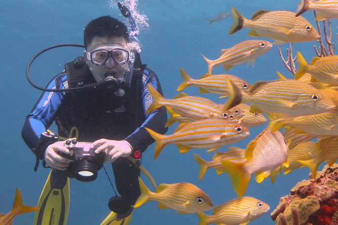 Scuba Diving Under Water Museum and Reef for beginners - The instructors make the biggest difference