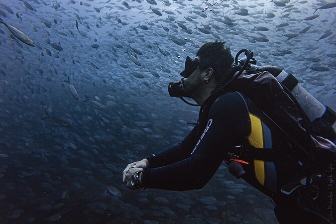 Scuba Diving - What you may see below the surface
