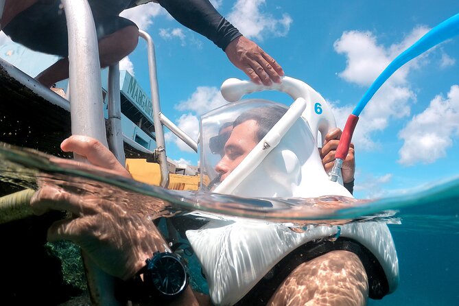 SeaTrek Underwater Helmet Diving Experience in Downtown Cozumel - Fish, feeding, and the small wreck