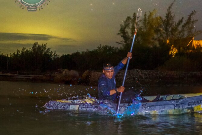 Shared Bioluminescence kayak tour in Holbox - Stars, moonrise, and the quiet side of Holbox