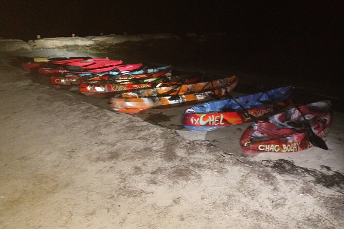 Shared Bioluminescence kayak tour in Holbox - Is $58.90 a fair price?