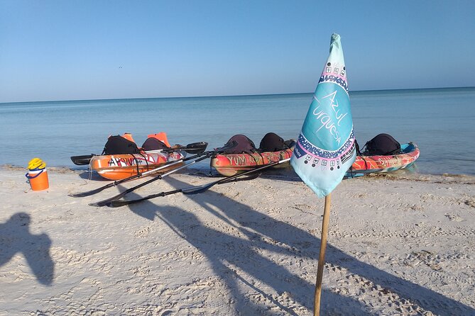 Shared mangroves kayak tour in Holbox - Why the 7 AM departure makes sense