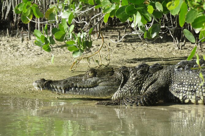 Shared mangroves kayak tour in Holbox - How demanding is the kayaking?
