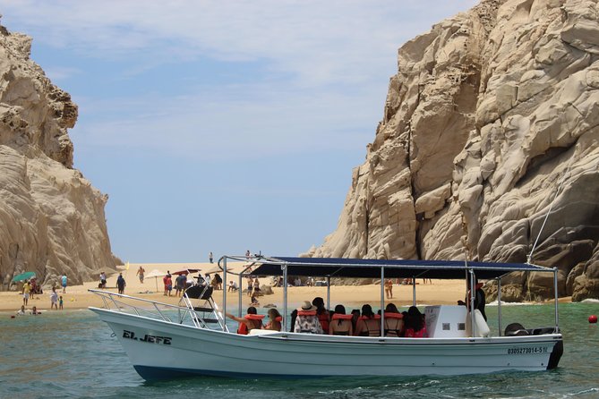 Shared ride to the arch of Cabo San Lucas - Sea lions, pelicans, and the chance of a whale sighting