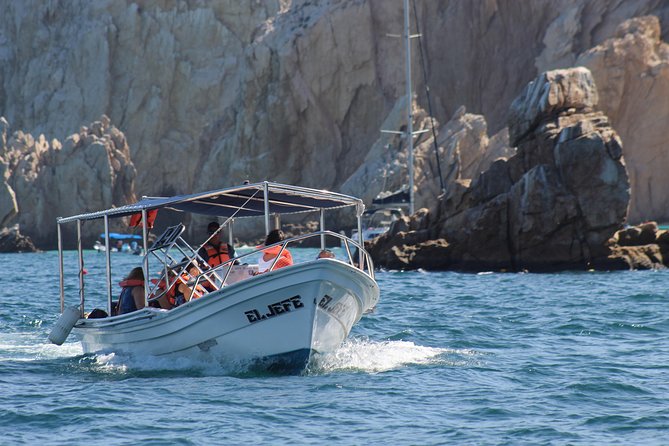 Shared ride to the arch of Cabo San Lucas - Who will enjoy this boat ride most