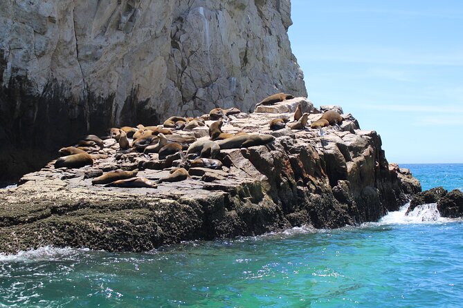 Shared Tour to the Arch of Cabo San Lucas - A small boat, a social crew, and changing commentary