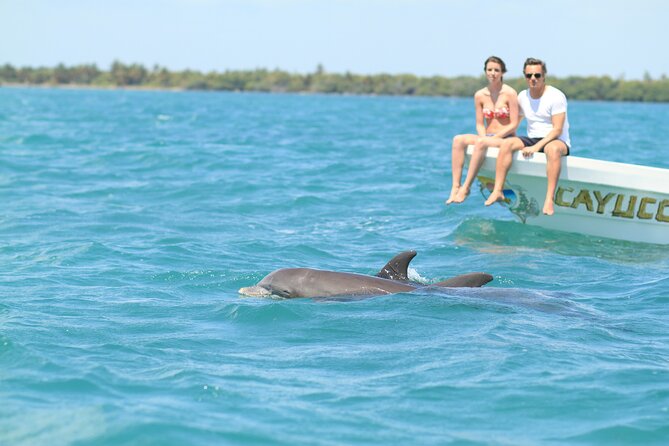 Sian Ka'an Adventure Full Day Trip to Punta Allen - Why Sian Ka’an makes a strong day trip from Tulum