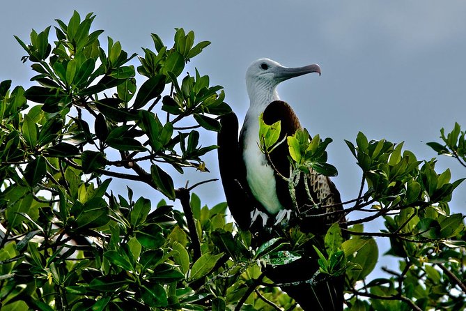 Sian Ka'an Adventure Full Day Trip to Punta Allen - What the $254 price includes