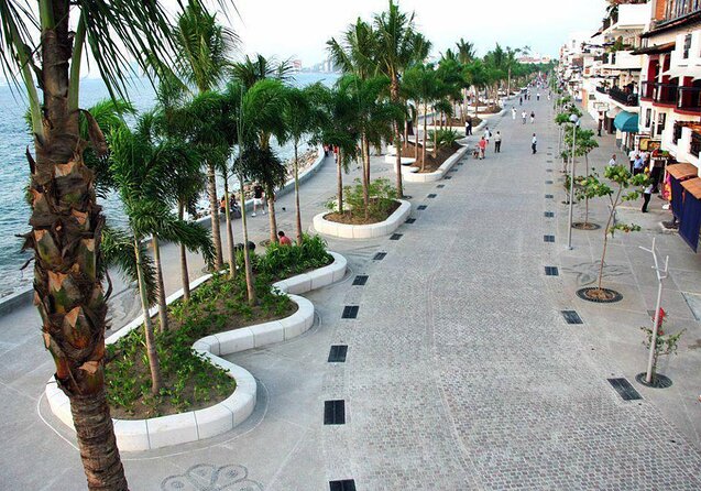 Signature Taco Tour in PV with Vallarta Eats - Key points at a glance
