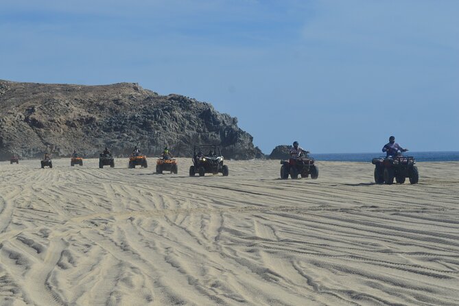 Single ATV Tour from Migriño Beach & Desert - Two rest stops and seasonal whale watching