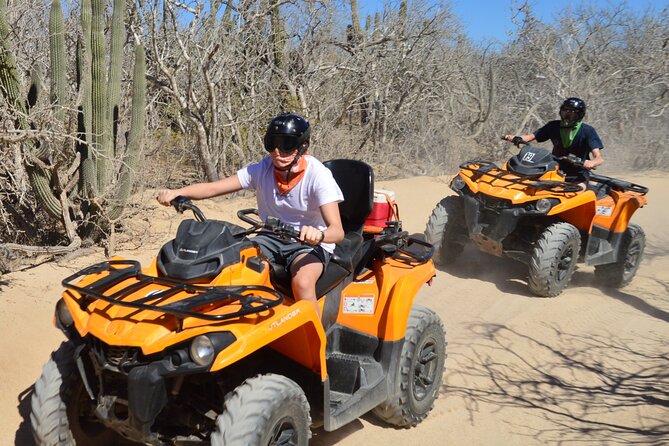 Single ATV Tour from Migriño Beach & Desert - Learning Baja’s cactus country