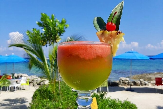 SkyReef Cozumel Snorkel & Tequila Tasting - Tequila tasting with a practical warning