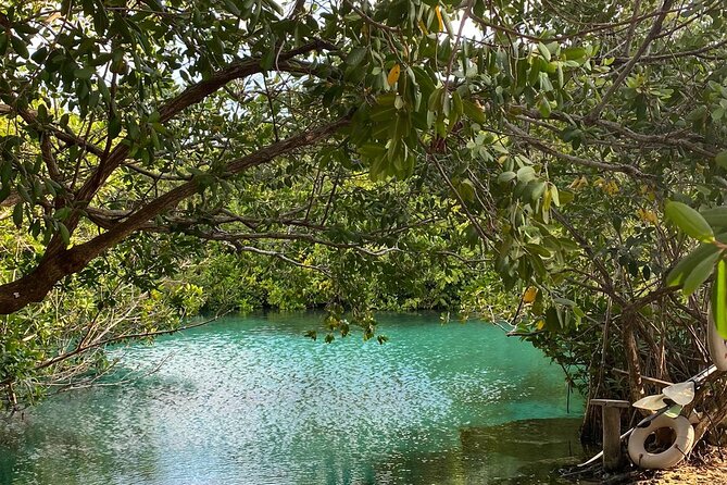 Small-Group 3 Cenotes Adventure Tour - Guides make a major difference
