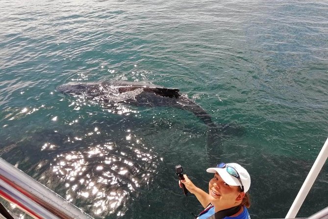 Small-Group Half-Day Whale-Watching Tour in Puerto Vallarta - Respectful whale watching in a busy bay