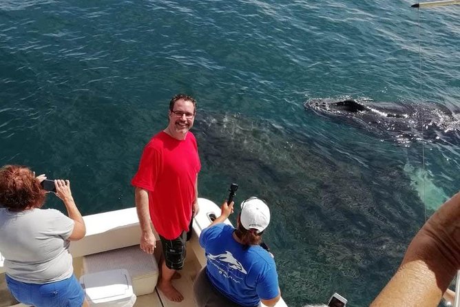 Small-Group Half-Day Whale-Watching Tour in Puerto Vallarta - Price, timing, and who gets the best value