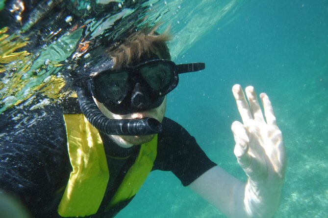 Small-Group Mesoamerican Barrier Reef Snorkeling in Puerto Morelos - The guides focus on safety and reef care