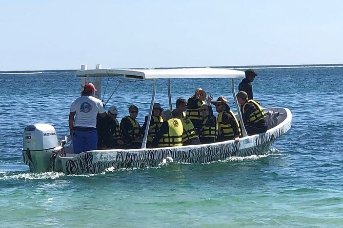 Small-Group Mesoamerican Barrier Reef Snorkeling in Puerto Morelos - Getting there from Cancun takes planning