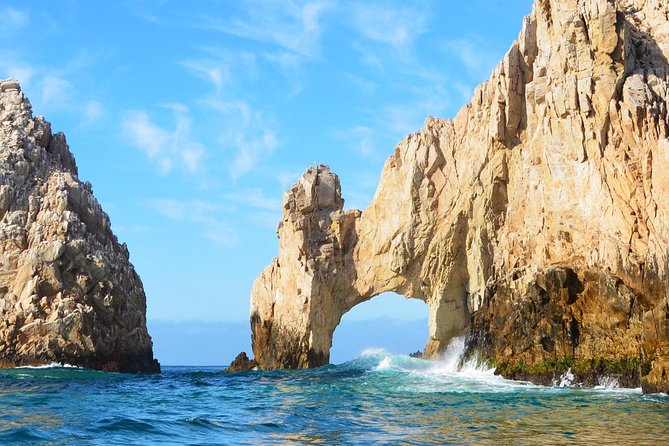 SMALL GROUP Whale Watch | Cabo San Lucas | Biologist | FREE Pics - Marine biology makes the trip more than a spotting game